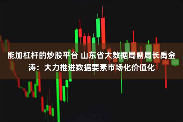 能加杠杆的炒股平台 山东省大数据局副局长禹金涛：大力推进数据要素市场化价值化