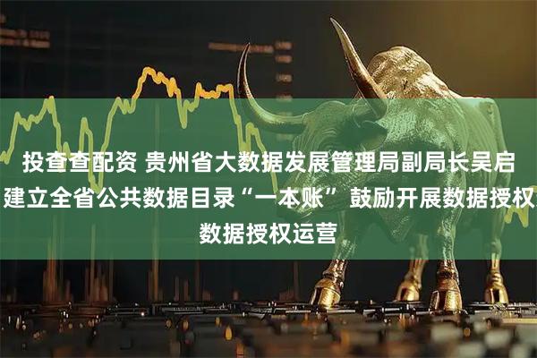 投查查配资 贵州省大数据发展管理局副局长吴启疆：建立全省公共数据目录“一本账” 鼓励开展数据授权运营