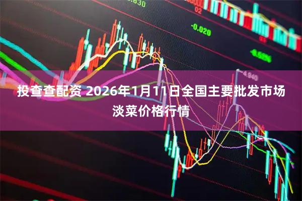 投查查配资 2026年1月11日全国主要批发市场淡菜价格行情