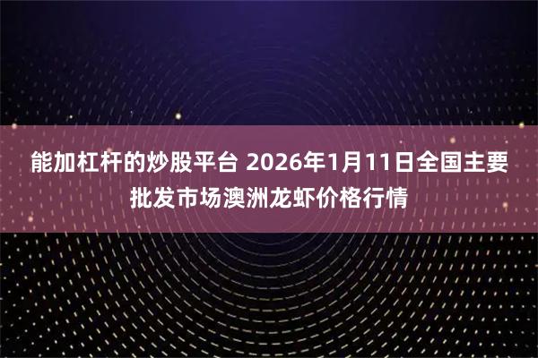能加杠杆的炒股平台 2026年1月11日全国主要批发市场澳洲龙虾价格行情